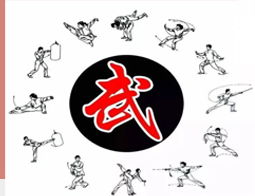 祁家通背拳网